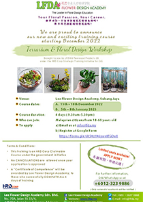 Terrarium & Floral dish garden Workshop