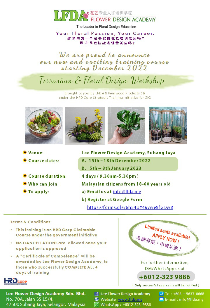 Terrarium & Floral dish garden Workshop
